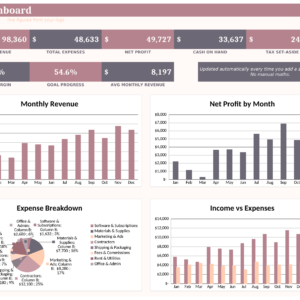 Small Business CEO Dashboard Spreadsheet Bundle for Excel + Google Sheets