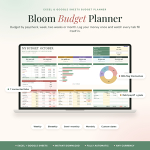 Bloom Budget Planner spreadsheet dashboard for Excel and Google Sheets
