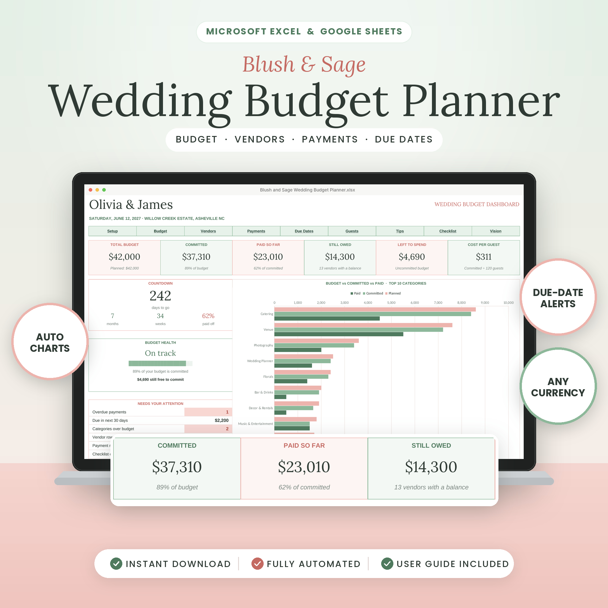 Blush & Sage wedding budget planner spreadsheet dashboard for Excel and Google Sheets