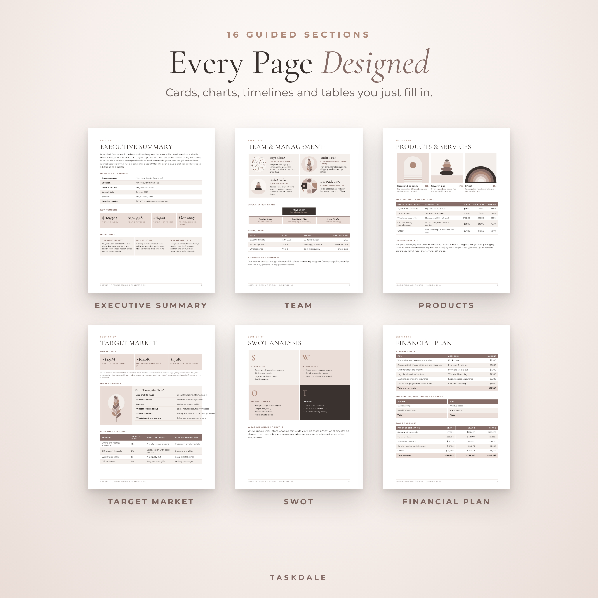 Business plan template pages: executive summary, team, SWOT and financial plan