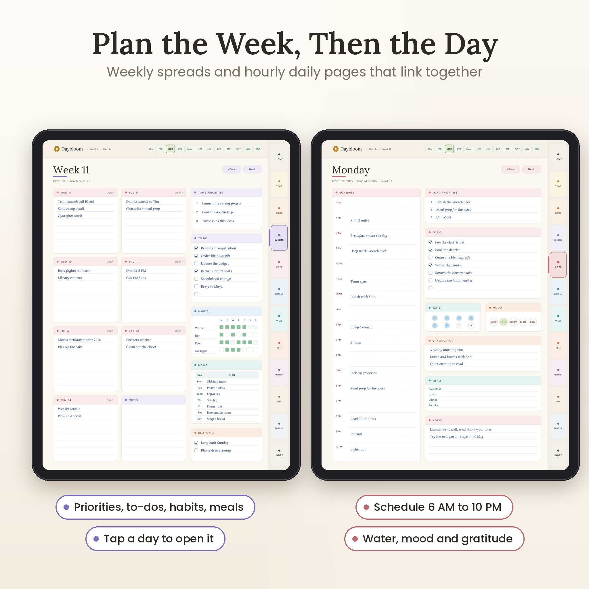 Weekly spread and daily page with sample entries