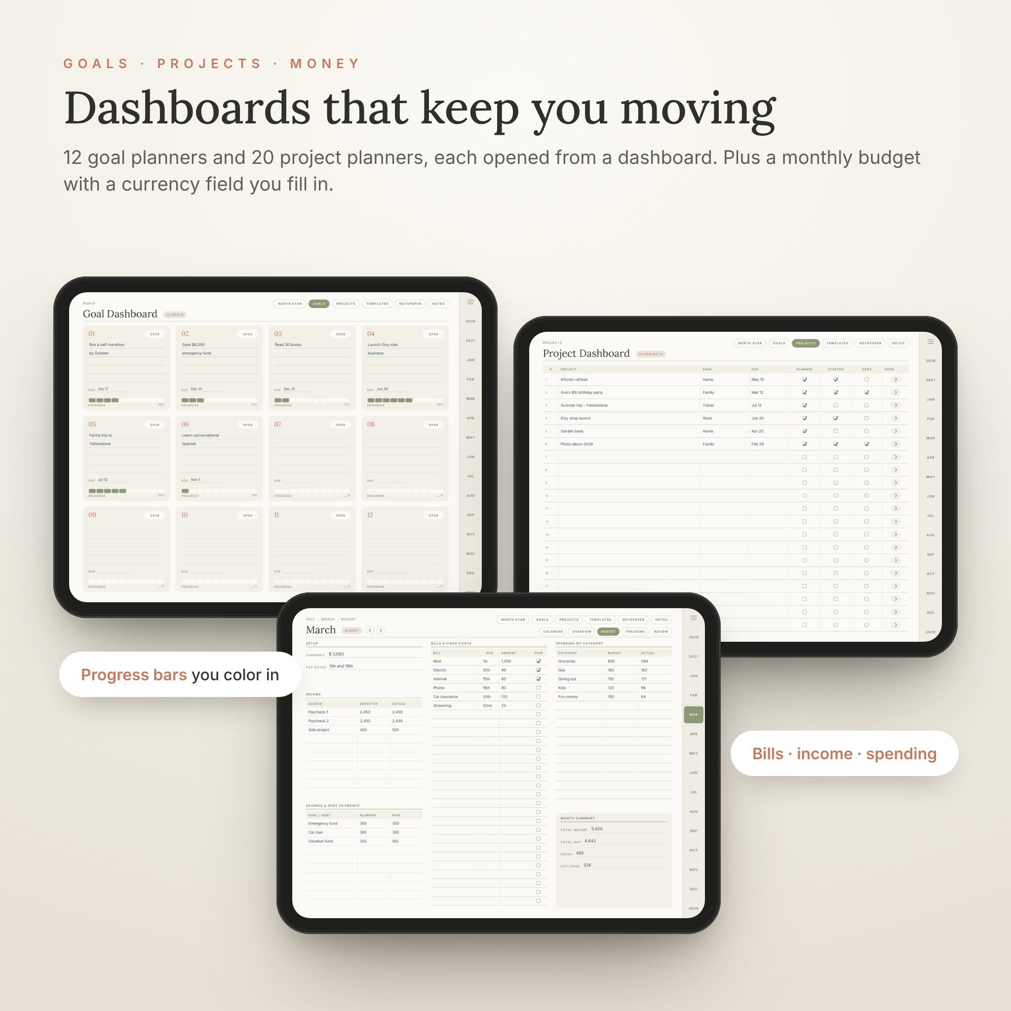 Goal dashboard, project dashboard and monthly budget pages