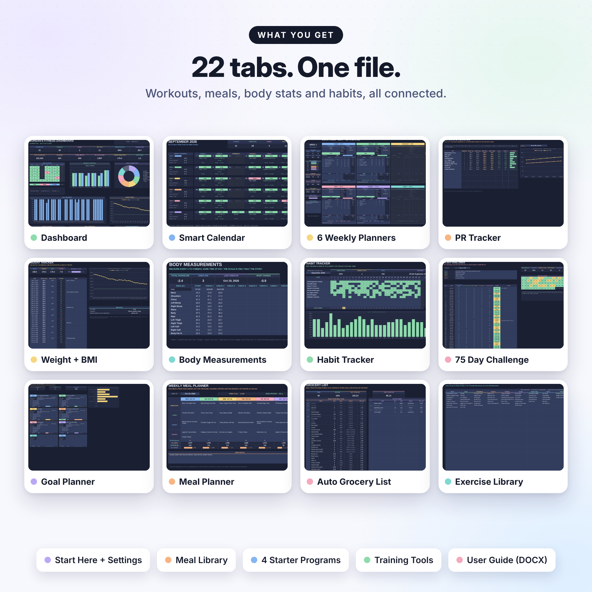 All 22 tabs included in the workout planner