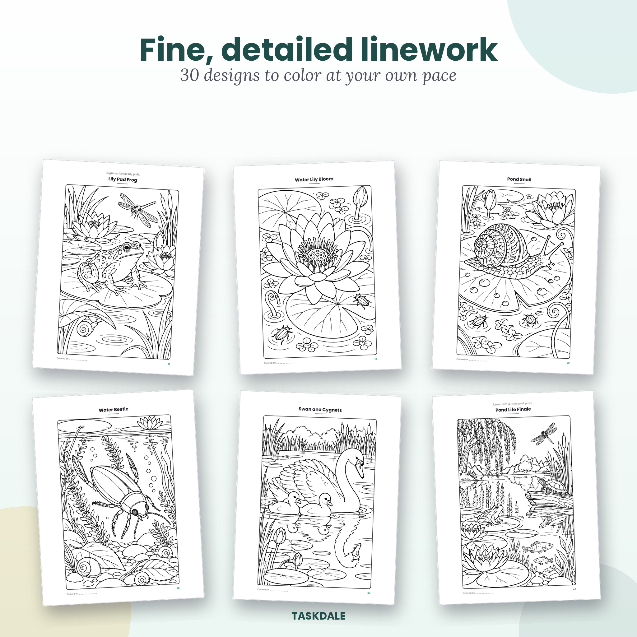Pond Life coloring book sample designs with fine linework