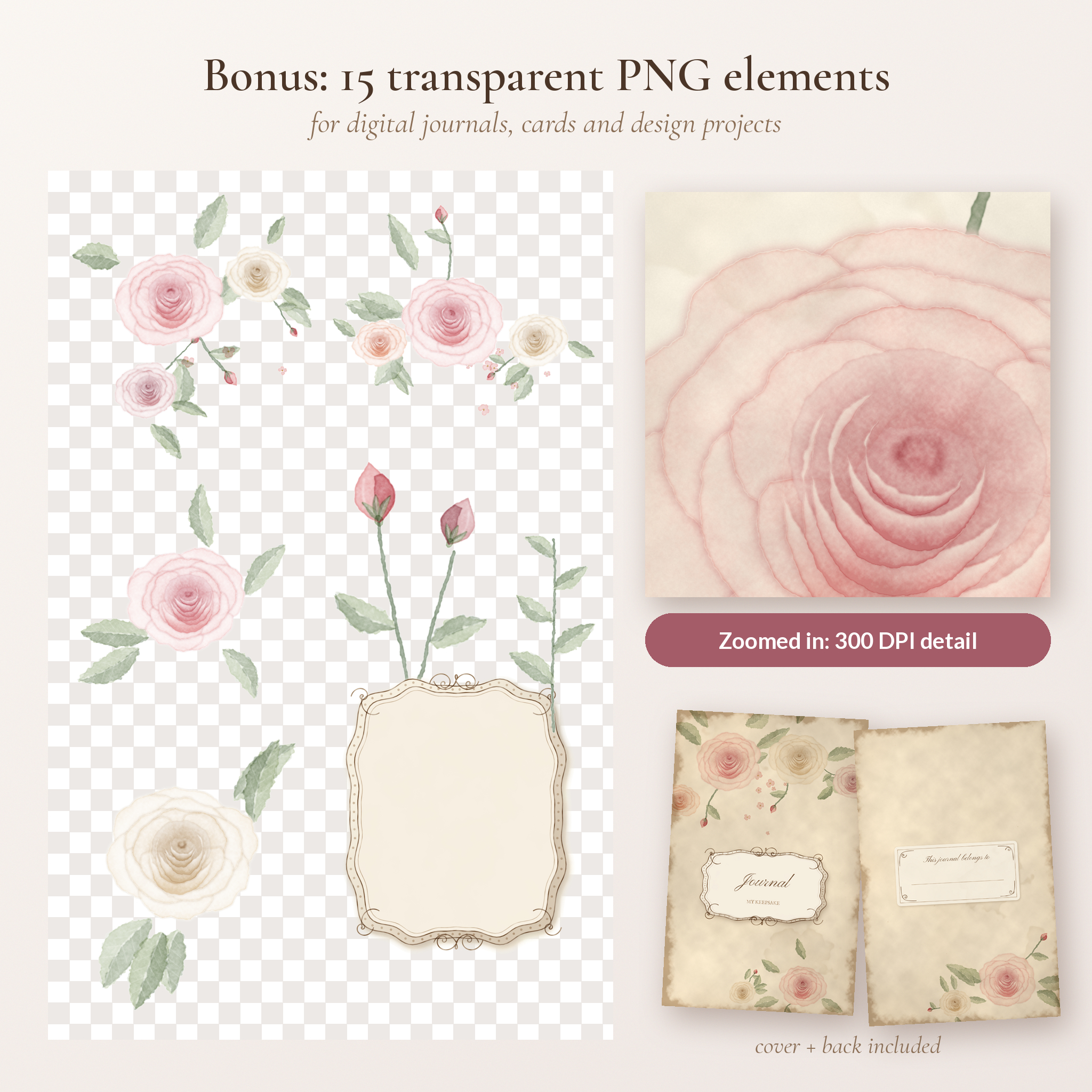Rosewater Keepsake bonus transparent PNG roses, lace and frame with 300 DPI watercolor rose detail