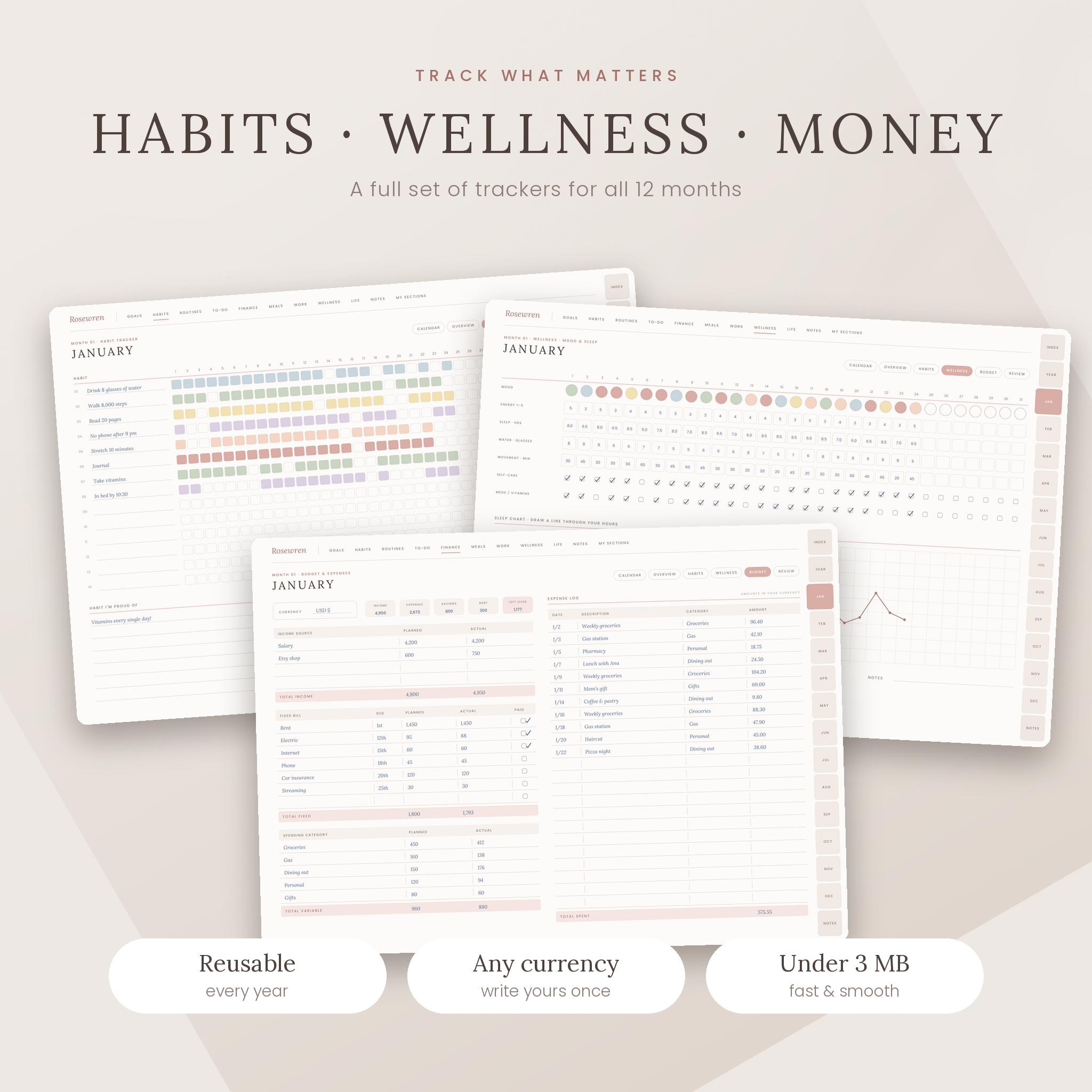 Habit tracker, wellness tracker and budget pages for all 12 months